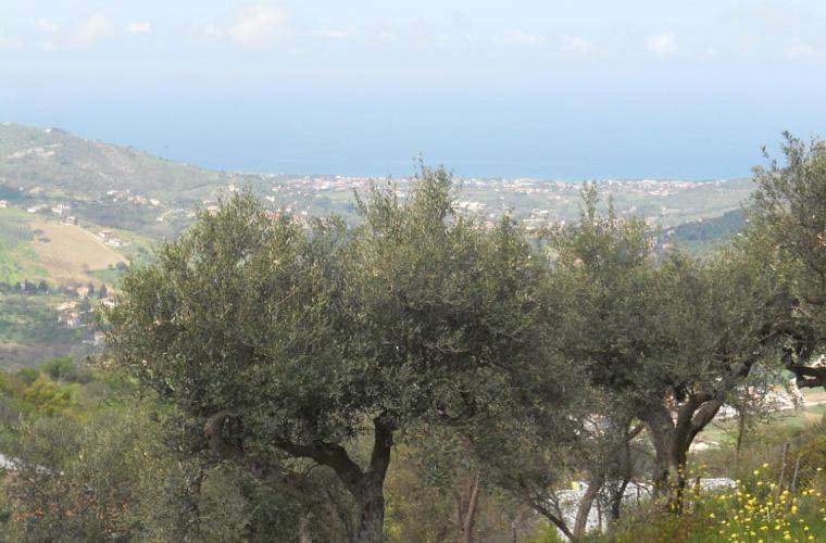 Casale Il Gheppio Guest House Laureana Cilento Eksteriør bilde