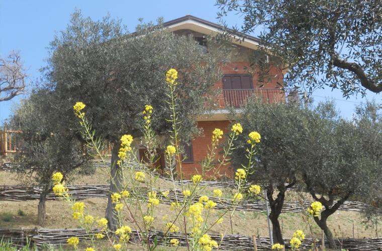 Casale Il Gheppio Guest House Laureana Cilento Eksteriør bilde