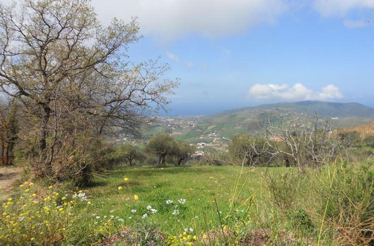 Casale Il Gheppio Guest House Laureana Cilento Eksteriør bilde
